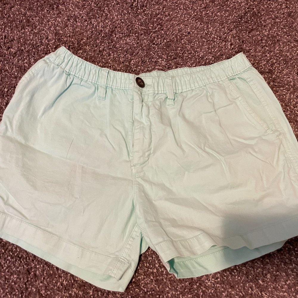 SOLD Mint Chubbies Shorts 4" inseam (discontinued)